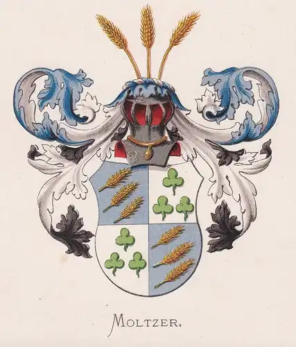 Moltzer - Wappen coat of arms heraldry Heraldik blason Wapen