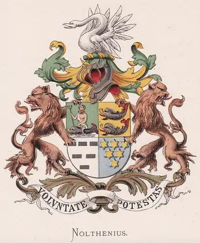 Nolthenius - Wappen coat of arms heraldry Heraldik blason Wapen