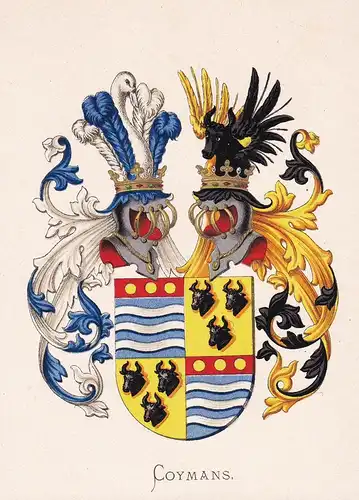 Coymans - Wappen coat of arms heraldry Heraldik blason Wapen