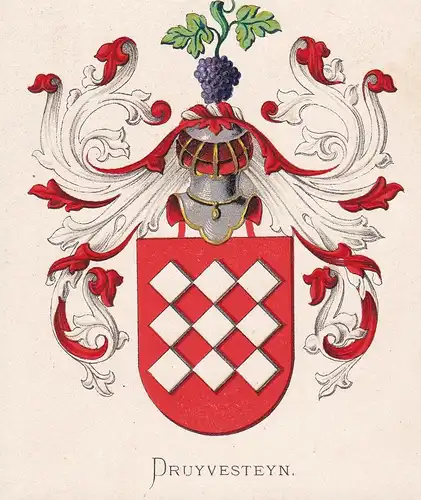Druyvesteyn - Wappen coat of arms heraldry Heraldik blason Wapen