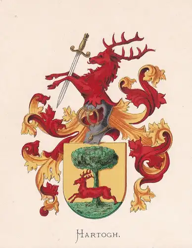 Hartogh - Wappen coat of arms heraldry Heraldik blason Wapen