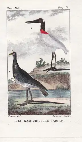 Le Kamichi - Le Jabiru - Storch stork Sattelstorch Ephippiorhynchus Halsband-Wehrvogel Chauna torquata Ente du