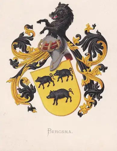 Bergsma - Wappen coat of arms heraldry Heraldik blason Wapen