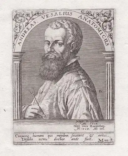 Andreas Vesalius Anatomicus. - Andreas Vesalius (1514-1559) physician anatomist founder of modern human anatom