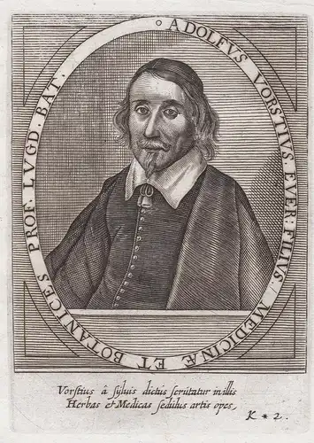 Adolfus Vorstius Ever: Filius Medicinae et Botanices Prof. Lugd. Bat. - Adolphus Vorstius (1597-1663) Delft Le