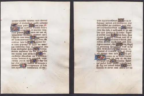 15th century manuscript leaf on vellum / Pergament-Blatt einer Handschrift aus dem 15. Jahrhundert / Feuillet