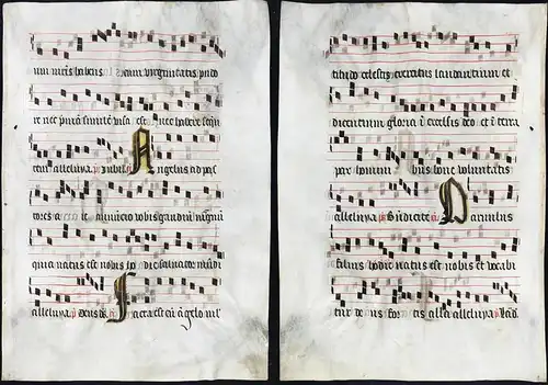 Seltenes, sehr großes original Pergament-Blatt aus einer Antiphonar-Handschrift des 15. Jahrhunderts / Very ra