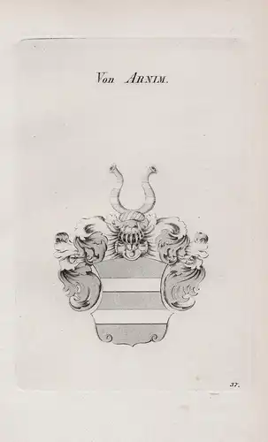Von Arnim - Wappen coat of arms Heraldik heraldry