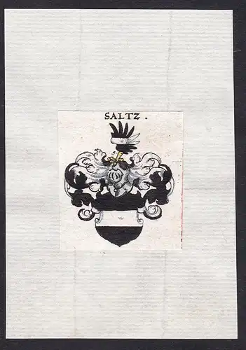 Saltz - Saltz Salz Salt Wappen Adel coat of arms heraldry Heraldik