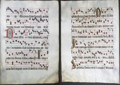 Very rare large elephant folio vellum sheet. Out of an Antiphonary manuscript from the 15th century. / Seltene