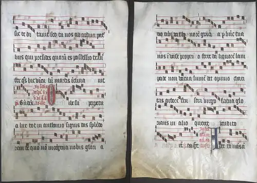 Very rare large elephant folio vellum sheet. Out of an Antiphonary manuscript from the 15th century. / Seltene