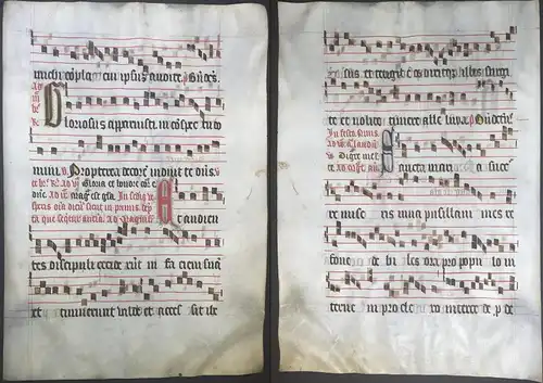 Very rare large elephant folio vellum sheet. Out of an Antiphonary manuscript from the 15th century. / Seltene