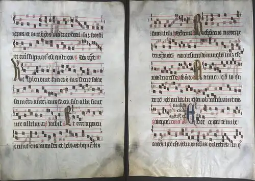 Very rare large elephant folio vellum sheet. Out of an Antiphonary manuscript from the 15th century. / Seltene