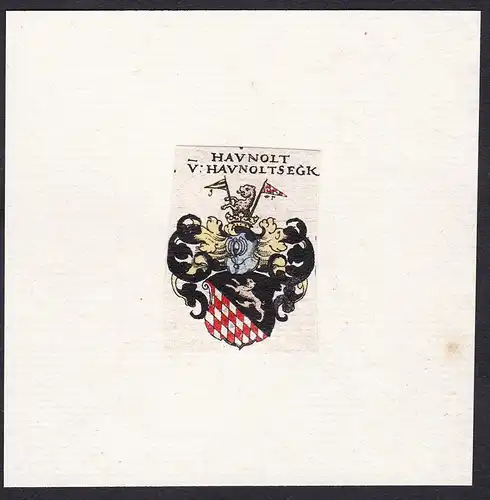 Havnolt V. Havnoltsegk - Haunold von Haunoltseck Haunoldsegg Wappen Adel coat of arms heraldry Heraldik
