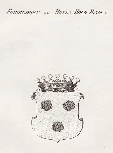 Freiherren von Rosen-Hoch-Rosen - Rosen Deutsch-Balten Wappen Adel coat of arms heraldry Heraldik Kupferstich