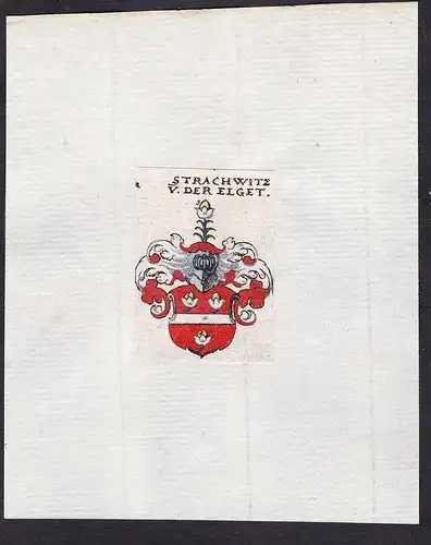 Strachwitz v: der Elget - Strachwitz v.d. Elget Wappen Adel coat of arms heraldry Heraldik