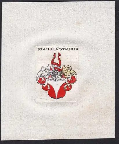 Stachel v:Stachler - Stachel von Stachler Stachl Wappen Adel coat of arms heraldry Heraldik