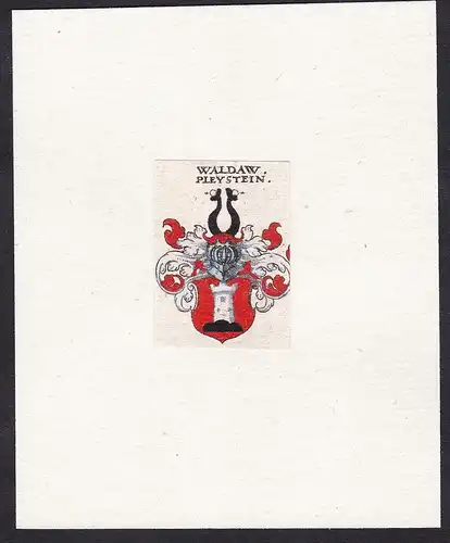 Waldaw Pleystein - Waldau Pleystein Pleistein Wappen Adel coat of arms heraldry Heraldik