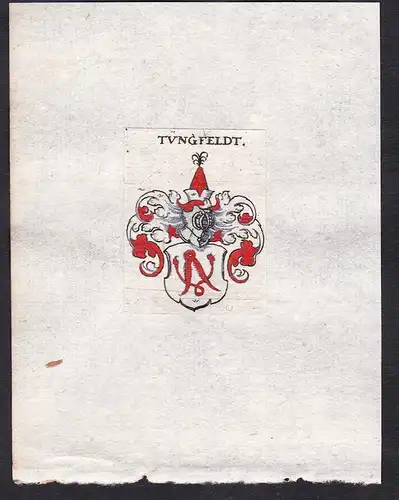 Tüngfeldt - Tüngfeldt Tüngfeld Wappen Adel coat of arms heraldry Heraldik