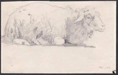 (Skizze von einem Schaf) - Schafe lying sheep Skizze sketch dessin