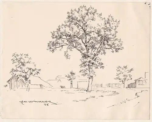 (Baum auf einer Wiese) / Tree in a meadow