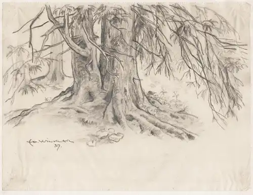 (Baumstudie / Study of a tree) - Bäume trees