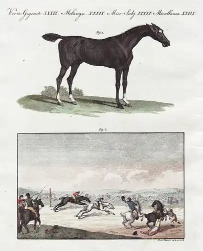 Verm: Gegenst.XXXIX. - Das Wettrennen zu Pferde in England - Pferderennen race Pferd horse England Great Brita