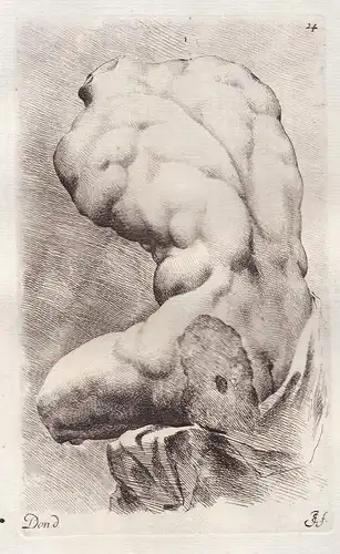 Belvedere Torso male nude / (Plate 24) - Statue statues sculpture antiquity Antike Altertum