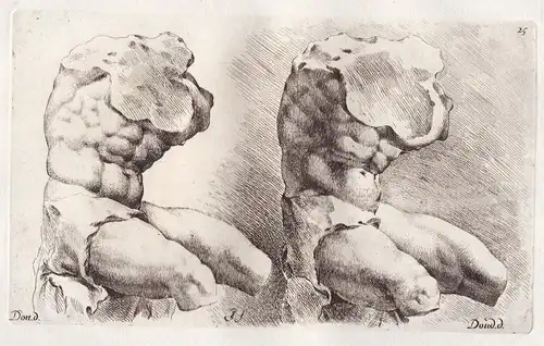 Belvedere Torso male nude / (Plate 25) - Statue statues sculpture antiquity Antike Altertum