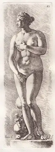 Statue of Aphrodite Venus de Medici / (Plate 49) - nude Akt Roman Statue statues sculpture antiquity Antike Al