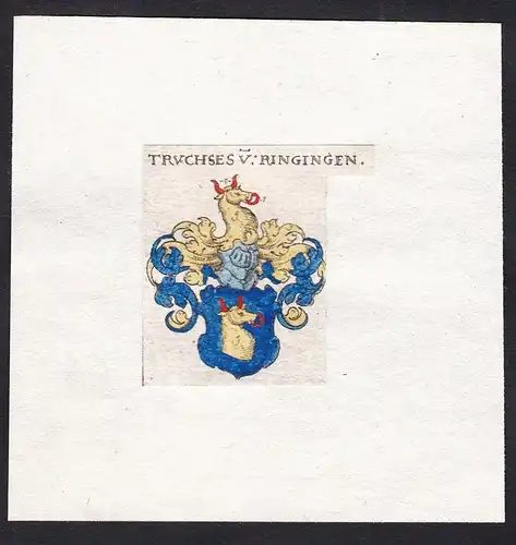 Truchses v: Ringingen - Truchses von Ringingen Wappen Adel coat of arms heraldry Heraldik