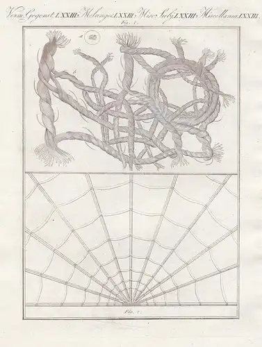 Verm. Gegenst. LXXIII- Mikroskopische Gegenstände - Stoff material Spitze lace Spinnennetz spider web Netz mic