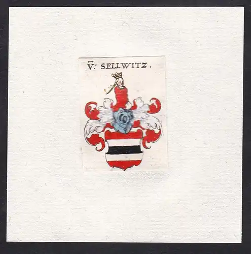 V. Sellwitz - Von Sellwitz Selwitz Wappen Adel coat of arms heraldry Heraldik