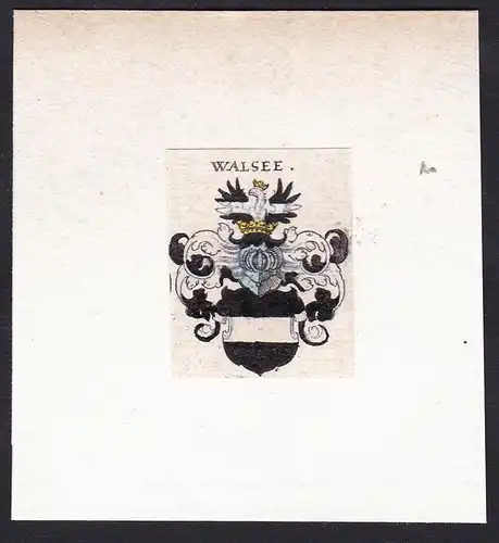 Walsee - Walsee Wappen Adel coat of arms heraldry Heraldik