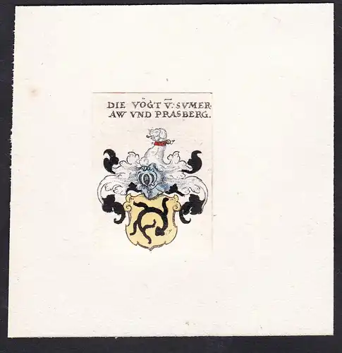 Die Vögt v: Sumer Aw und Prasberg - Die Vögt von Sumer Aw und Prasberg Wappen Adel coat of arms heraldry Heral