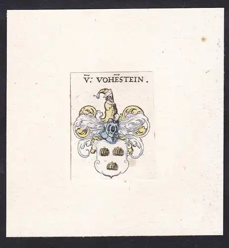 V: Vohestein - Von Vohestein Vohstein Vohenstein Vostein Wappen Adel coat of arms heraldry Heraldik