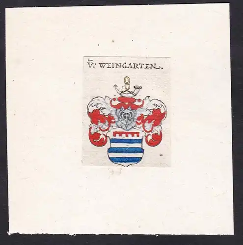 V: Weingarten  - Von Weingarten Wappen Adel coat of arms heraldry Heraldik