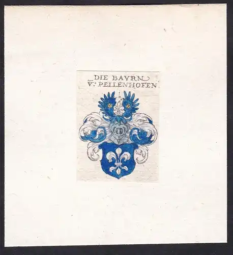 Die Baurn v: Pellenhofen - Bauern von Pellenhofen Wappen Adel coat of arms heraldry Heraldik