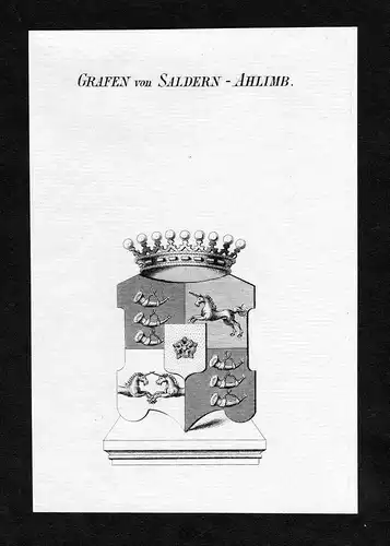 Grafen von Saldern-Ahlimb - Saldern-Ahlimb Wappen Adel coat of arms Kupferstich  heraldry Heraldik