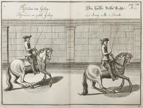 Passaden im Galop - Die halbe Volta Rechts - Reitschule / Horse riding school Pferd Pferde Reiten Reiterei Re