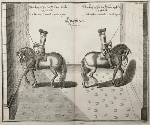 Den Kopf gegen der Mauer links im Schritt - Den Kopf gegen der Mauer rechts im Schritt - Reitschule / Horse ri