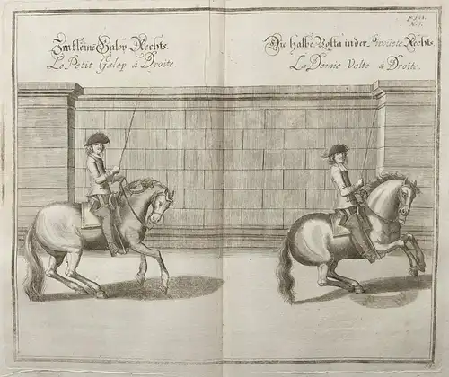 Im kleinen Galop Rechts -  Die halbe Volta in der Pirouete rechts  - Reitschule / Horse riding school Pferd Pf