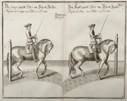 Die Croupe gegen den Pilier im Schritt Rechts - Den Kopff gegen den Pilier im Schritt Rechts - Reitschule / Ho