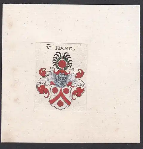 V. Hane - Hahn Wappen Adel coat of arms heraldry Heraldik