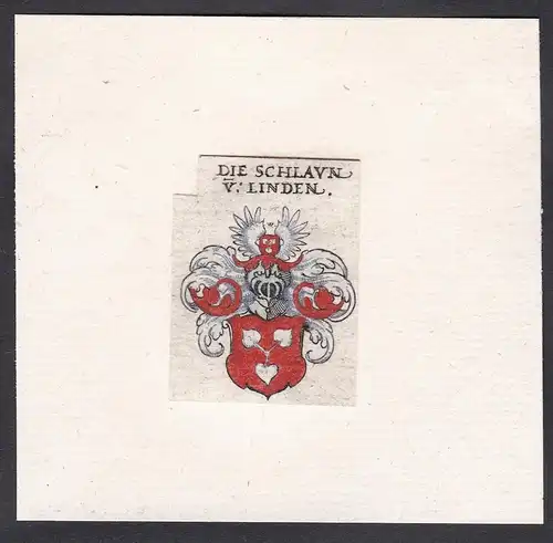 Die Schlaun v. Linden - Wappen Adel coat of arms heraldry Heraldik