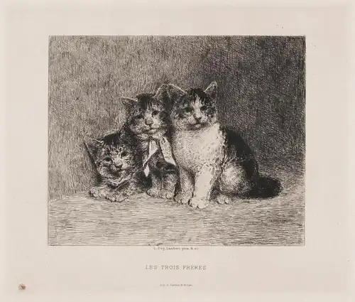 Les trois freres - Katzen cats chats cat chat Katze