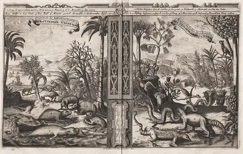 Poissons, etc. des Indes Occidentales / Monstres des Indes Occidentales / Engraving depicting animals from the