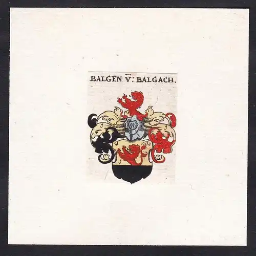 Balgen v. Balgach - Balge Balghe Wappen Adel coat of arms heraldry Heraldik