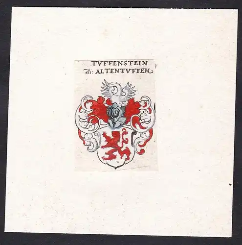 Tufenstein / Altentuffen - Altentuff Wappen Adel coat of arms heraldry Heraldik