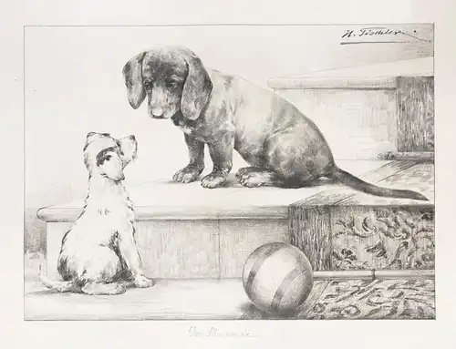 Hunde sitzen auf einer Treppe mit einem Ball - Hund Hunde dog dogs Beagle